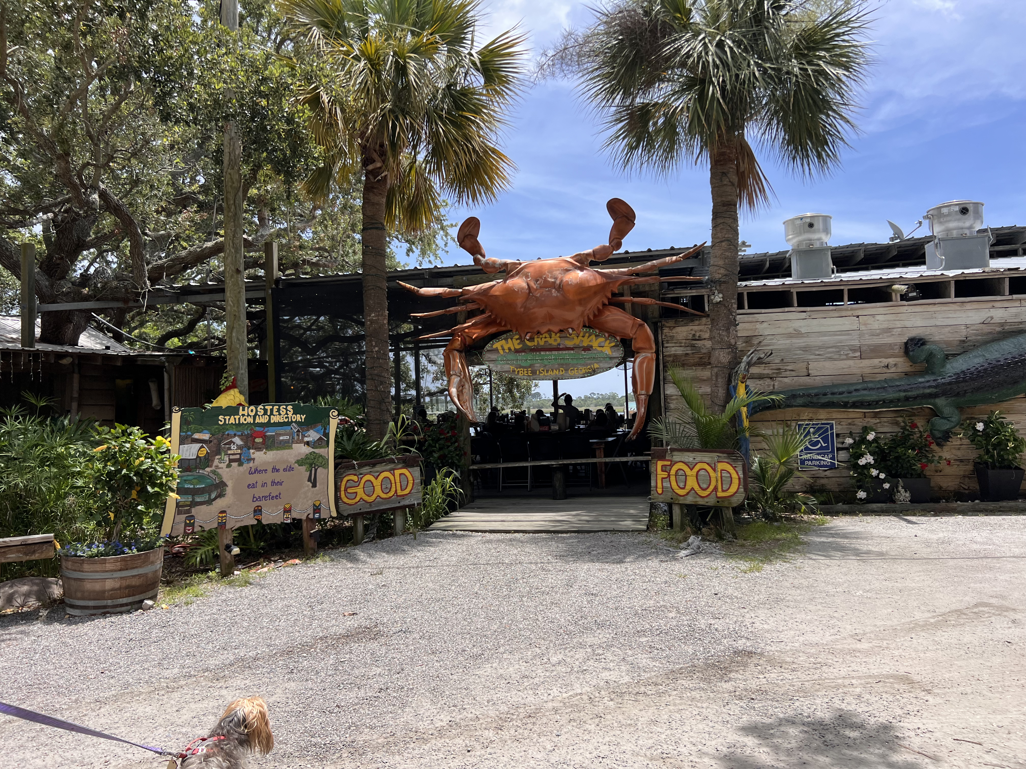 ./2025/06 - Savannah/IMG_0890.jpg